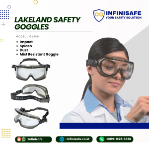 LAKELAND Safety Goggles
